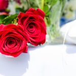 Význam jmen: Ruže – růžová vášeň kolem růží