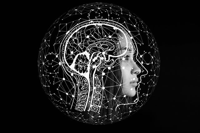 4. Vztah ‌mezi velikostí mozku,⁤ kognitivními funkcemi a lebkou