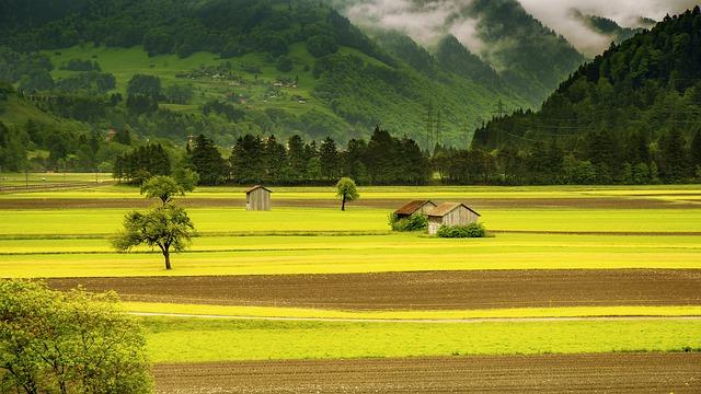 8. Farming a pharming -​ co je ⁢to rozdíl a jaké jsou jejich dopady na vaši online bezpečnost?