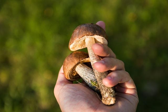 Jak ⁣rozpoznat otravu u dítěte: Vyšetření a diagnostika