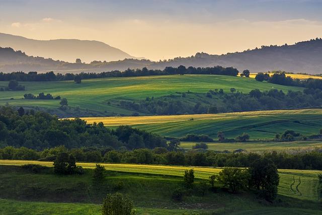 Role terapeuta a⁣ lékaře v léčbě anorexie