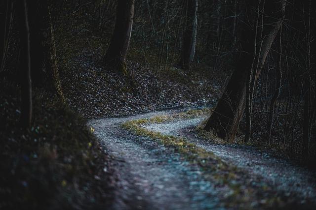 Vlastnosti melancholických dětí ve škole