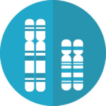 Chromozomy: Jak fungují a co znamenají pro dědičnost