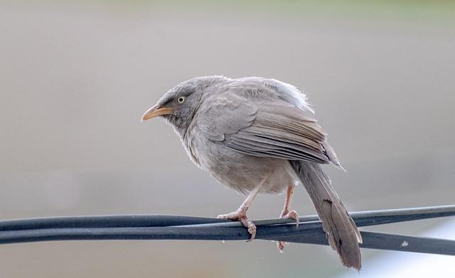 Pozorování chování a reakcí dítěte