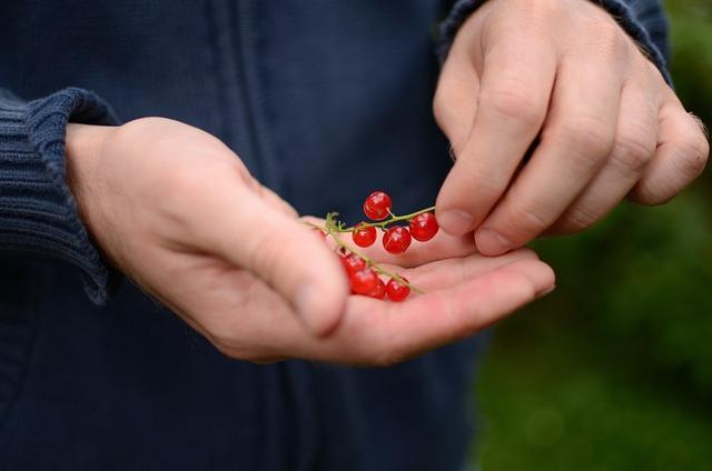 Důležité⁤ tipy pro spotřebu‌ zboží s ‌prošlou dobou minimální trvanlivosti